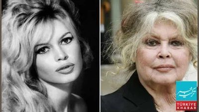 Renowned French Actress Brigitte Bardot Passes Away at 91