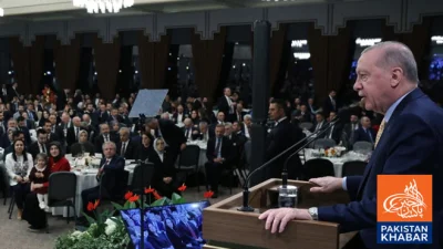 Erdogan Expresses Grief Over Civilian Casualties in Iran, Pledges Diplomatic Efforts